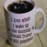 #1Trump 🇺🇸MAGA🇺🇸 (@jo1trump) 's Twitter Profile