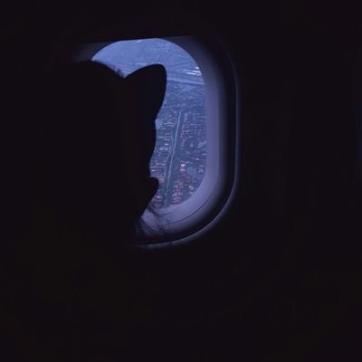 BlackGhosted's profile picture. 