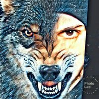 شہغہبہ😌رجہل👈شہرقہيہ (@monstermstbd) 's Twitter Profile