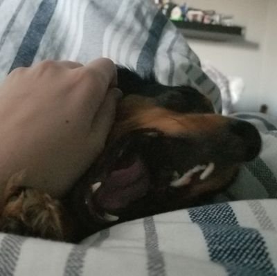 therealUKnowMe's profile picture. bwuuuhwubwhuwuwbwh | my pronounce: secret 🤫 | 21 years of age