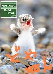 Imadoki_Girl's profile picture. We are looking for our affiliate-members to the world.Please introduce your followers about our project.##関係者HP掲載中##大手企業よりポイントカードの広報助手を拝命〓USTREAMでファッション番組も立ち上げ