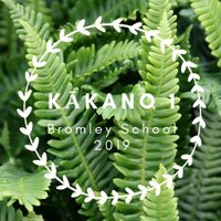 Kākano1&2 (@kakano1bromley) Twitter profile photo