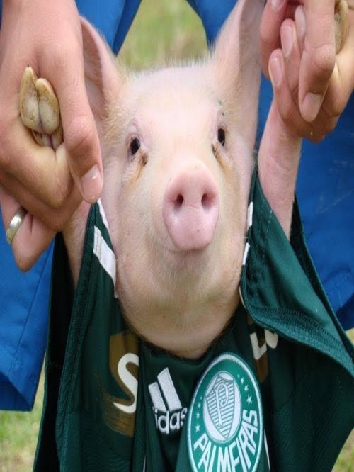 JRalessandra's profile picture. SOU TUDO O QUE POSSO SER, MAIS AINDA VOU MELHORAR