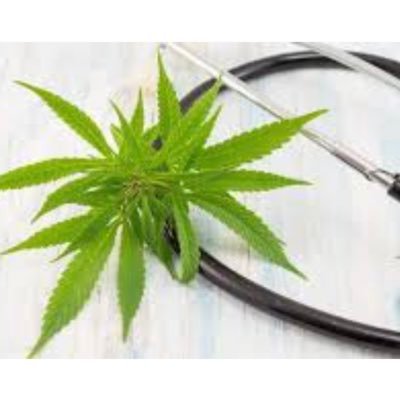 Cannabis Specialists for the State of Maryland. Certified by Maryland Medical Cannabis Commission. Set up an appointment today.