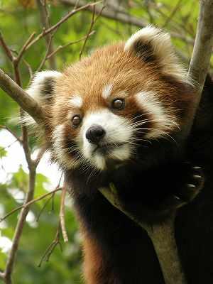 orange_moca's profile picture. ゲームとゲーム音楽とフュージョン時々D海。20↑、プリチュール•ノーブル。
DQ/FF/ベヨ/315P/他ゲーム色々/うさピヨ/

※プロフ辿ってくださりありがとうございます。数日カギかけさせていただいてます。少々お待ちください。