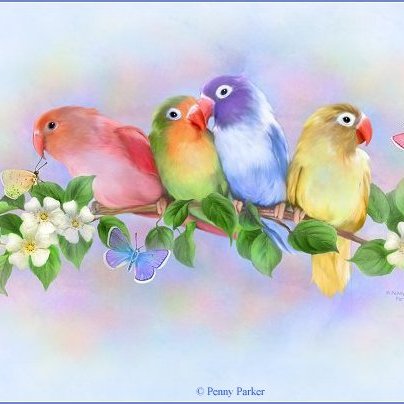 cartesmamielise's profile picture. 