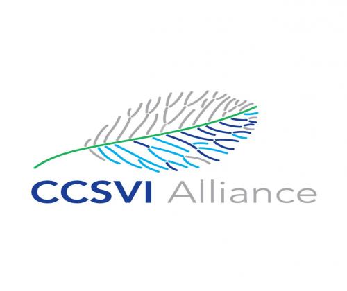 CCSVI Alliance promotes education and research about CCSVI and its
relationship to MS by providing objective information to the MS community.