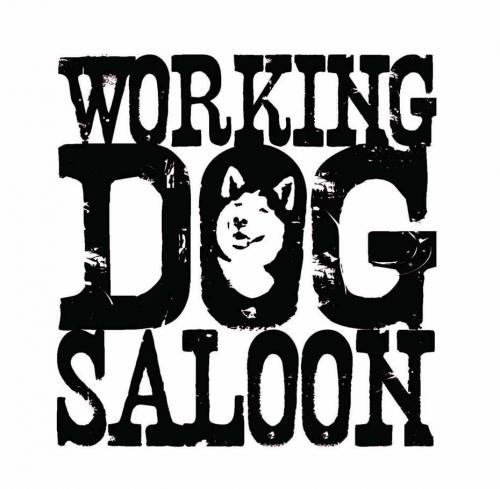 WDSaloon's profile picture. Fresh food, cold beer, great service - and did we mention the best patio in Scarborough? The Working Dog: the only place to hang your hat - or your harness!