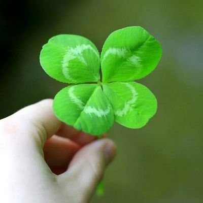 j9VMSL4yqEBNGR9's profile picture. .