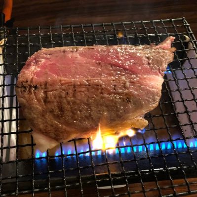 hvG724vxMQpHRYY's profile picture. 犬と猫さわりたい どしたんおじさん