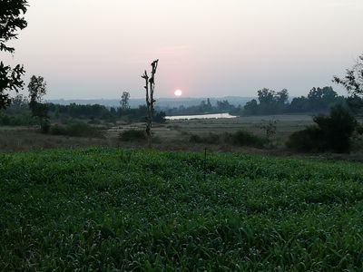 Ravikum49295405's profile picture. 