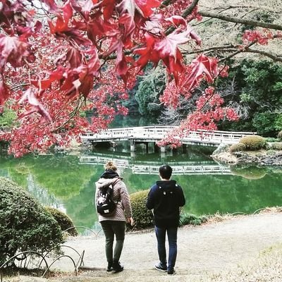 Chase Lim Profile