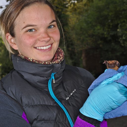 Postdoctoral researcher at the Max Planck Institute of Animal Behavior. Currently working with the common noctule bat.