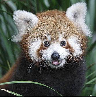 oper255's profile picture. 