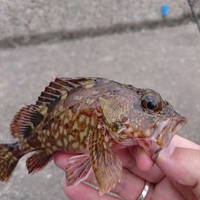 techu0645's profile picture. 釣り好きのバドミントン好き(笑) 何でも好きなおじさんです(笑)