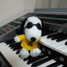 umizounohaha's profile picture. 伊藤英明くんのファン❗️
エレクトーンプレイヤー窪田宏さんの30年以上のファン🎵彼の演奏は神業～‼️12年のブランクを経てEL900mから念願のELS-02C購入。レッスン再開しましたが、コロナ禍でやむ終えなく退会😢開始したいけど、時間が取れず(TT)