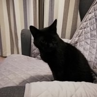 Théo door (@thodoor1) 's Twitter Profile