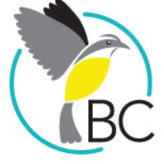 BirdsCaribbean Profile Picture