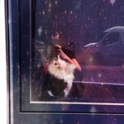 EU petrochemicals campaigner | healthy feminist | shit stirrer | views definitely my own (insects are ©Matt Dorfman)