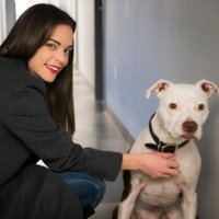 Debby Derricks (@debbyderricks) 's Twitter Profile