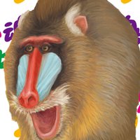 . (@lsk) 's Twitter Profile