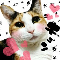 猫村にゃんち×みけむぎちゃん (@oiwioneko33) 's Twitter Profile