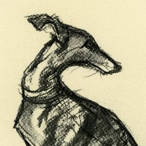 sknygrydg07's profile picture. Writer, Animator and Mom