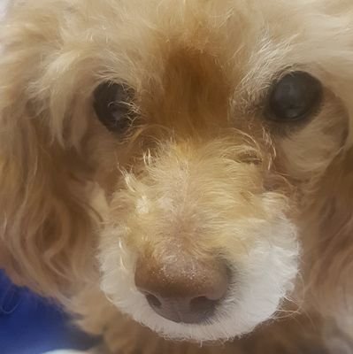 제니さんのプロフィール画像