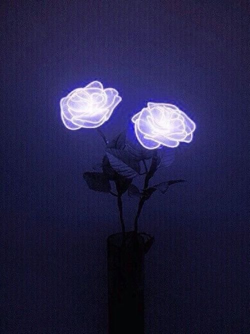 lzzzzzzz10's profile picture. 