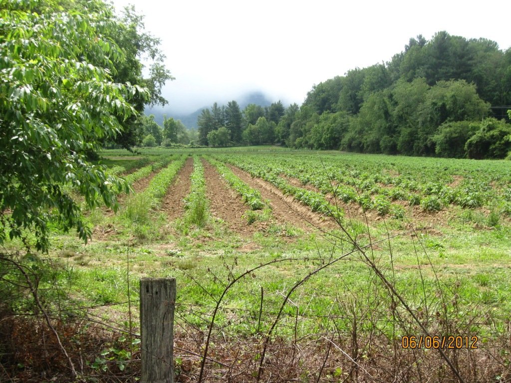 NC Farmlink works with landowners and farmers to create land access opportunities for growers in NC. A NCSU Extension program.