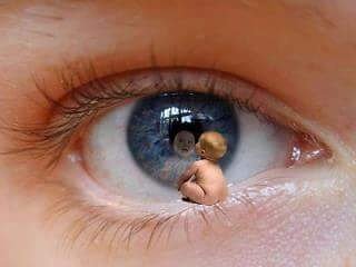 AlbenaChakarov2's profile picture. 