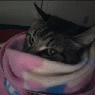 jamesdusoleil's profile picture. Personal profile. Writer for Traveling by the Mile. @travelingbtm