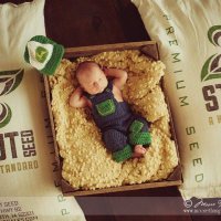 Stout Seed (@stoutseed) 's Twitter Profile