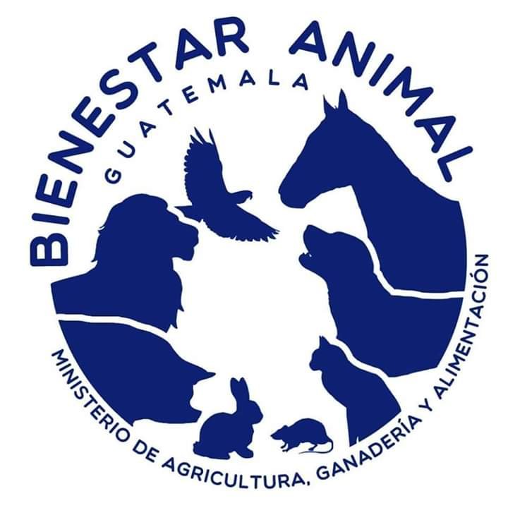 Promover el trato digno hacia los animales, promoviendo la educación, protección y bienestar animal.