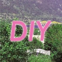 DIY in Nelson (@diy_nelson) 's Twitter Profile