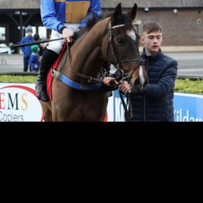 Alan o sullivan Profile