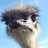 EmusCPS2019's profile image