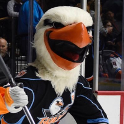 Your above average bird in San Diego 😎 Follow @sdgullsahl 👍