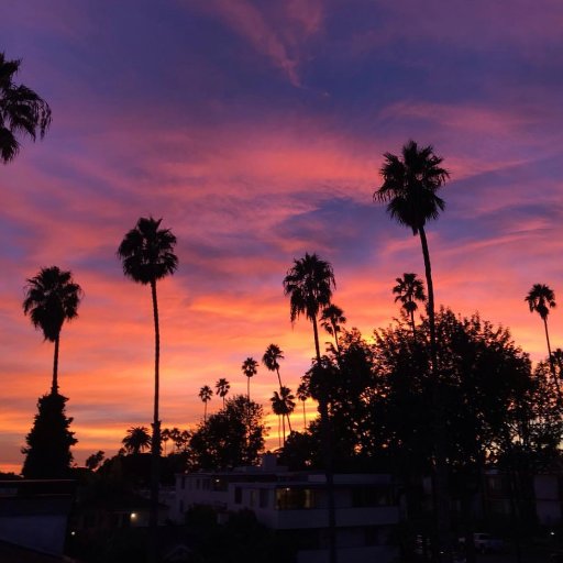 TaoFaith's profile picture. 