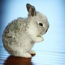 nate blake - @blakenathan - Twitter