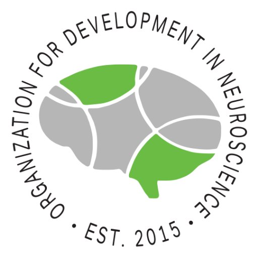Paving the way for the future generation of Puerto Rican neuroscientists | #NeuroBoricuas | Contact: neuro_rum@uprm.edu