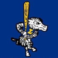 Lincoln Fighting Zebras Baseball (@lincolnzebras) 's Twitter Profile