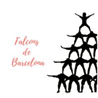 Falcons de Barcelona (@falconsbcn) 's Twitter Profile