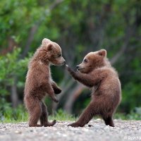 たろう丸|武術と日常。先輩の笑いネタ、後進の参考になればヨシ！ (@quan_master) 's Twitter Profile Photo