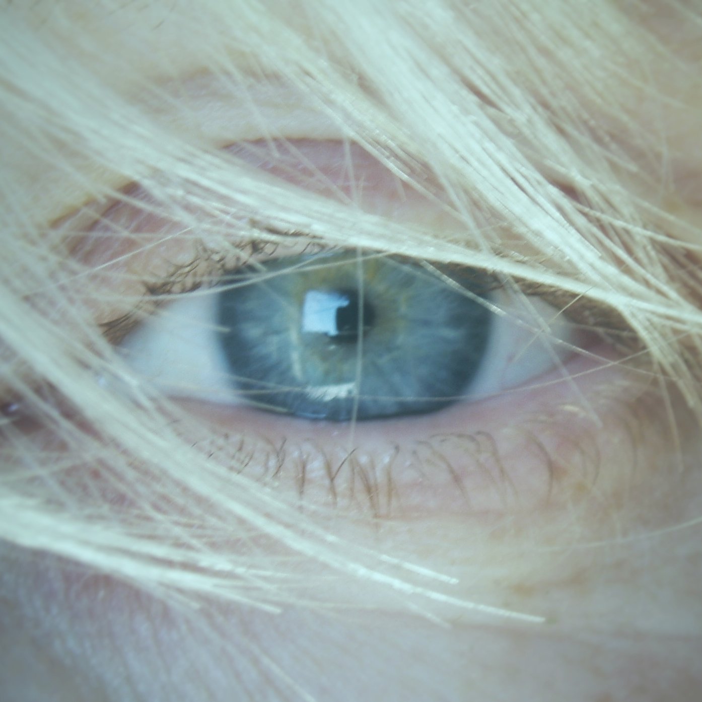 KramersEye's profile picture. Want to look at the world with Fresh Eyes? Check out the micro podcast with daily visual prompts on https://t.co/mvCj2vQQD8