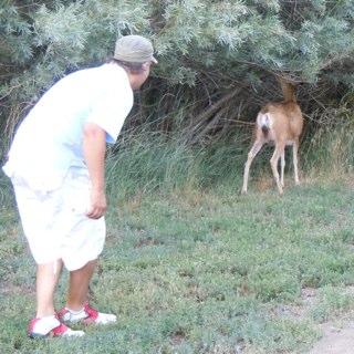 daaremerites's profile picture. 