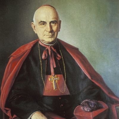 Cardenal Herrera