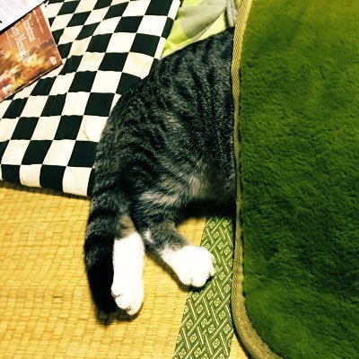 カラスさんのプロフィール画像