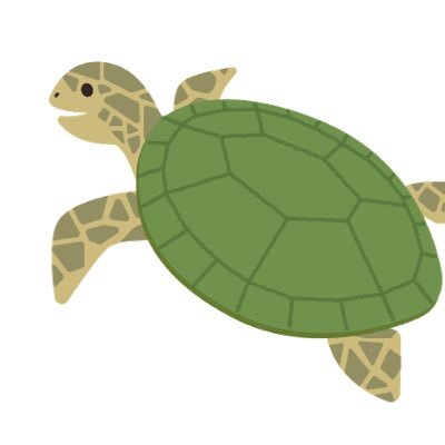 🐢さんのプロフィール画像