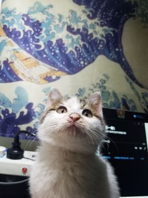 Max_12357's profile picture. Max? Or someone else